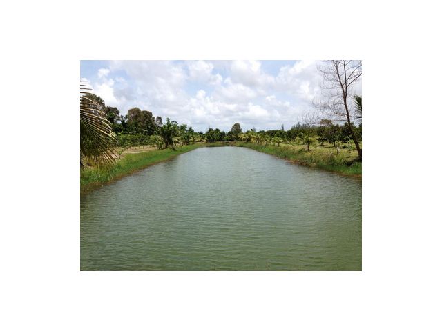 ขายสวนยาง+สวนผลไม้ติดน้ำ วิวสวย จันทบุรี อ.ขลุง 17 ไร่โฉนด พร้อมบ้าน1หลัง