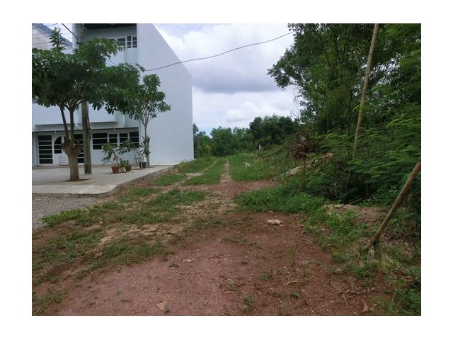 ขายที่ดินโฉนด 1 ไร่ ใกล้หาดทุ่งวัวแล่น อ.ปะทิว  จ.ชุมพร
