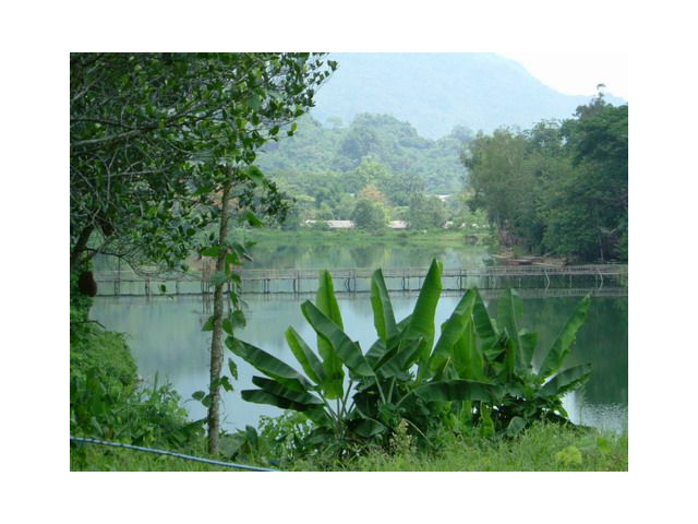 ขายที่ดินสวยริมอ่างเก็บน้ำ และภูเขา Nice land plot for sale, adjacent to Sao Hin Phayanak cave and small mountain