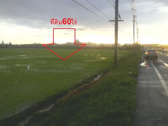 ที่ดิน60ไร่ติดถนนพระราม2(ธนบุรี-ปากท่อ)ใกล้แยกวังมะนาวขายไร่ละ2.5ล้านบาทติดต่อวัฒน์ 090-1400146