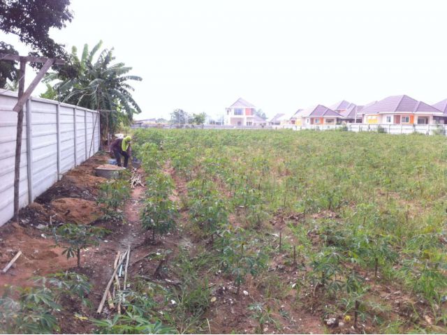 Land for sale 4 rais 2,500,000 baht/rai near Payoon beach Banchang