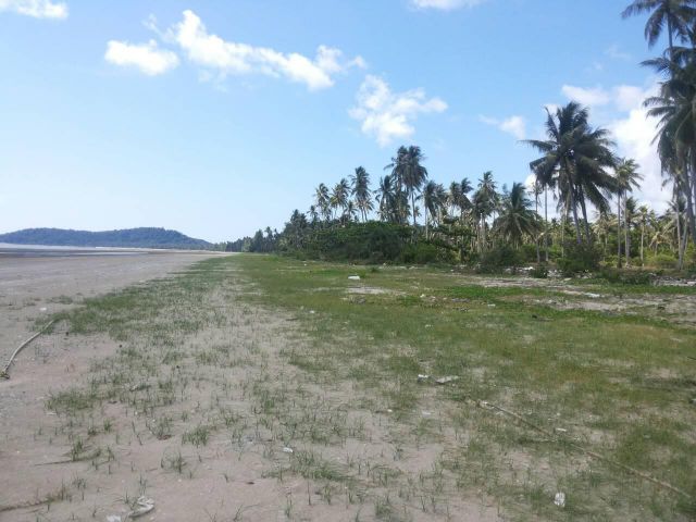ขายที่ดินติดทะเล หาดทรายสวย วิวมองเห็นเกาะกลางทะเล  หน้าติดถนน หลังติดทะเล