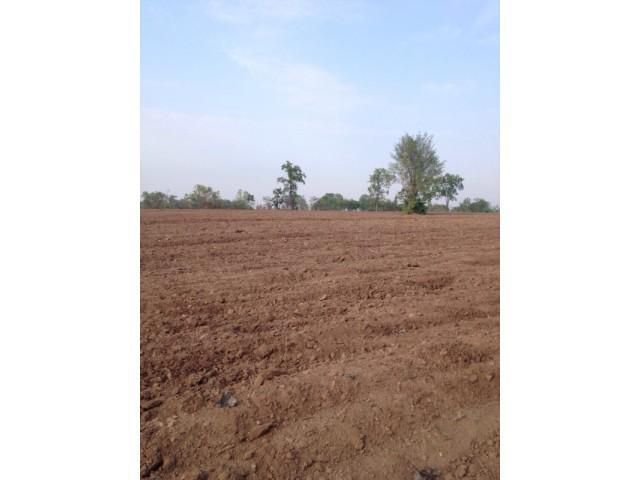 ขายที่ดิน ภทบ.5 31 ไร่ เหมาะปลูกยางพารา ทำการเกษตร