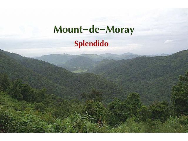Mount-de-Moray แบ่งขายที่ดินสวยพัฒนาพร้อมแล้วบนเนินเขาสูงกว่า 450 เมตร (ระดับน้ำทะเล) เพียง 6 แปลงเท่านั้น