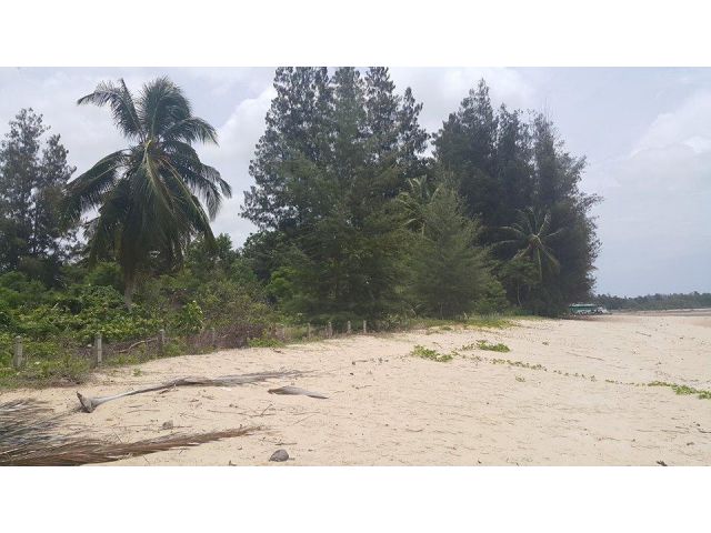 ที่ดินติดทะเลชุมพร ปะทิว Land Beach Front for Sale Pathiu Chumphon