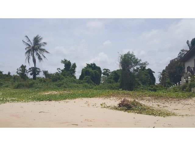 ที่ดินติดทะเลชุมพร ปะทิว Land Beach Front for Sale Pathiu Chumphon