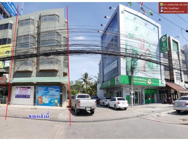 ขาย อาคารพาณิชย์ 2คูหา  ตึกหัวมุมติดธนาคารกสิกรไทย ตรงข้าม Big C สุราษฎร์ฯ ทำเลดีเหมาะค้าขาย หรือทำออฟฟิศสำนักงานได้