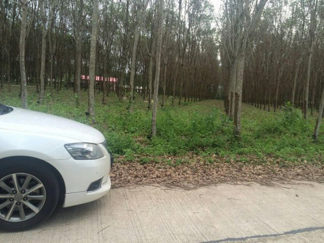 Excellent Location Land for Sales  with  rubber garden ( Kokkoi area )