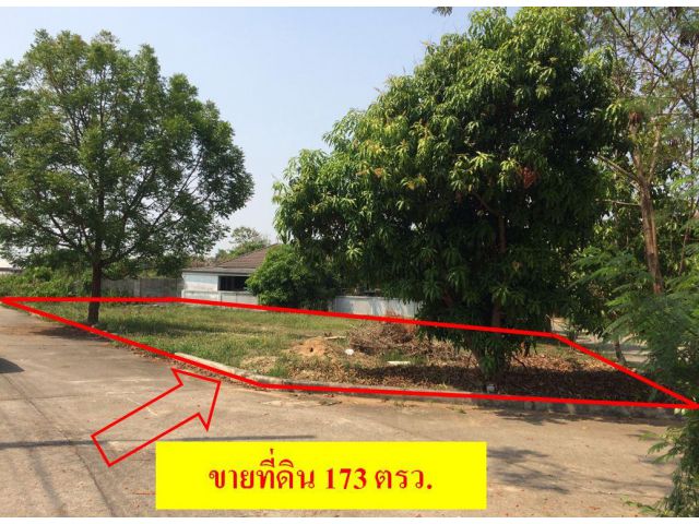 ขายที่ดิน หลังหมู่บ้านซันชายน์ 2 โซน แม่โจ้ 173 ตรว.