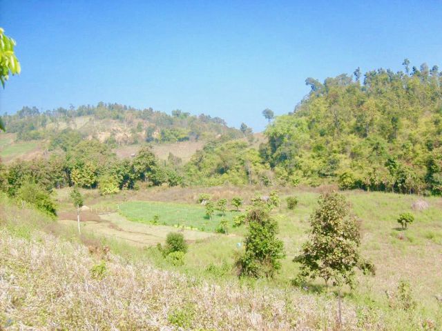 Land for sale closed to Pai (Mea Hong Song)