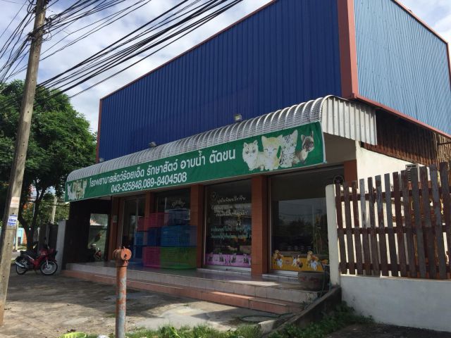 ขาย รพ สัตว์ร้อยเอ็ด พร้อมบ้านเรือนไทย 163 วา