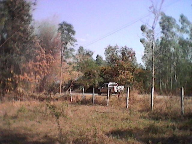 ขายทีนาที่ป่าที่โล่งในชุมชนมีไฟน้ำ13ไร่ถนนลูกรัง
