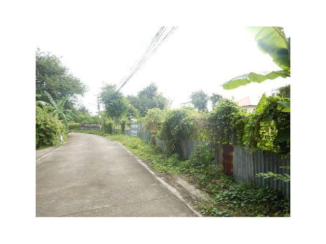 ขายที่ดินเปล่า ในซอยงามวงศ์วาน 5 เนื้อที่ 1-3-25 ไร่ ตำบลบางเขน อำเภอเมืองนนทบุรี จังหวัดนนทบุรี