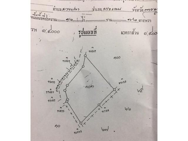 ขายที่ดินเกษตร 16 ไร่ 76 ตรว. อ.บางเลน จ.นครปฐม แปลงสวยติดคลองสาธารณะ มีน้ำตลอดปี