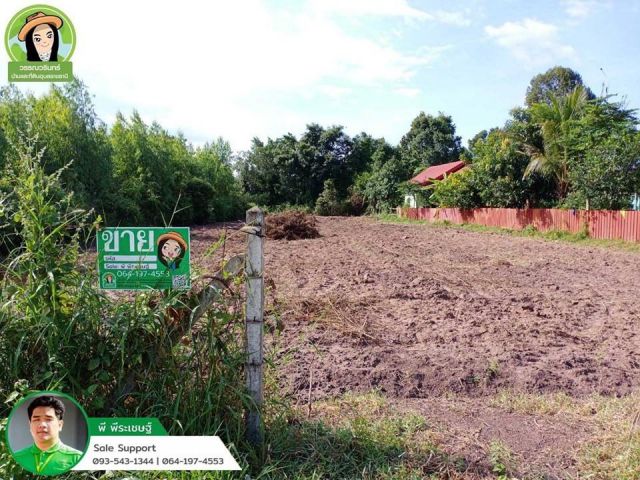 ที่ดินบ้านทางสาย 1ไร่ ทำเลดีมาก/วาริน