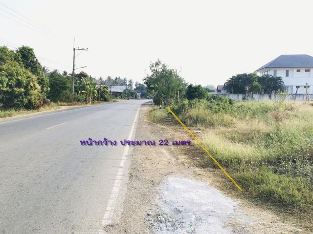 ขายที่สวยๆ ติดถนนดำ ถนนเส้น 2326 บ้านโคก ห้วยใหญ่ อ.เมือง จ.เพชรบูรณ์ เนื้อที่ 2 งาน ที่ดินถมแล้ว