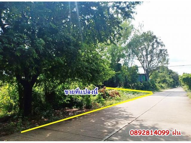 ที่ดินเปล่าใกล้สนามบิน พิกัดบ้านนิคม เนื้อที่ 148 ตรว.ติดถนนคอนกรีต 2 ด้าน