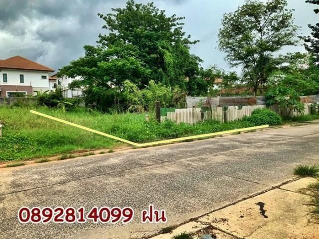 ที่เปล่าเหมาะสร้างบ้าน เนื้อที่ 98 ตรว.ติดถนนคอนกรีต ห่างถนนรอบเมือง 50 เมตรเท่านั้น