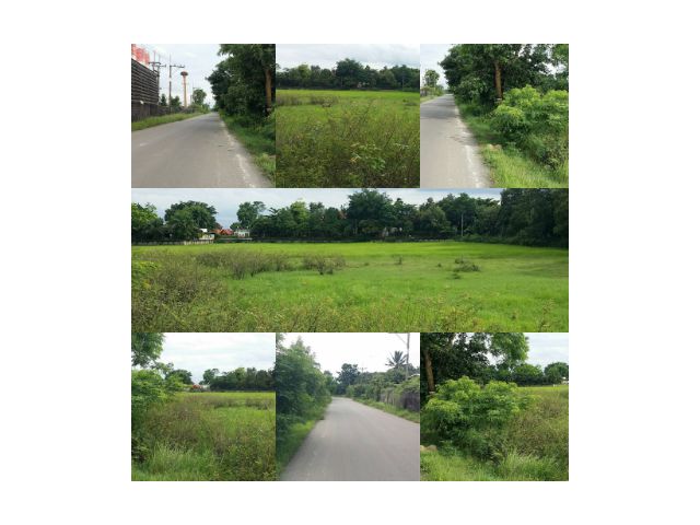 ขายที่ดินติดถนนลาดยาง หน้ากว้างประมาณ 100 เมตร เนื้อที่ 3 ไร่กว่า