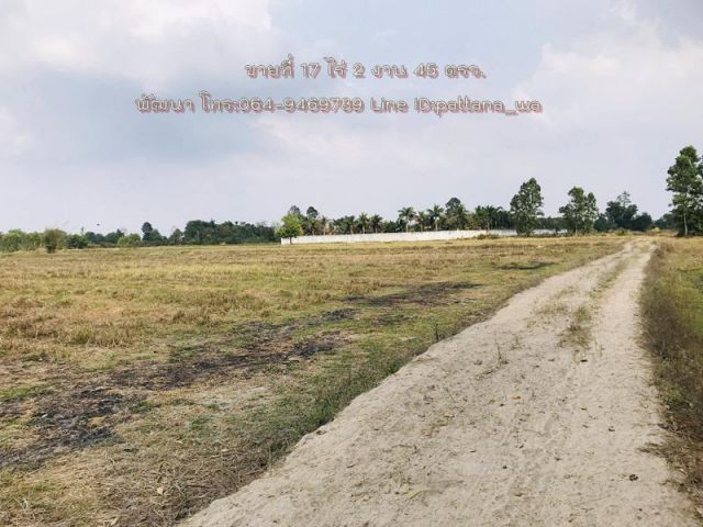 ️ขายที่นา ที่สวยๆ ราคาถูกๆ เขตอำเภอศรีมโหสถ เนื้อที่ 17 ไร่ 2 งาน 45 ตรว.