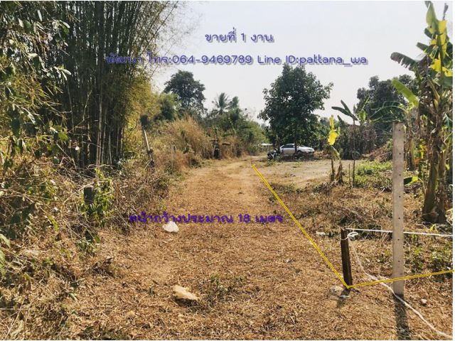 ️ขายที่ดินแปลงเล็กๆ ราคาถูกๆ ในเขตเทศบาลกบินทร์บุรี จ.ปราจีนบุรี เนื้อที่ 1 งาน