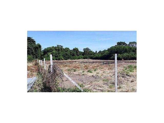 ขายที่ดินยกแปลง เนื้อที่รวม 1,133 ตร.วา ศรีราชา Land for sale Sriracha Total area 1,133 sq.wah