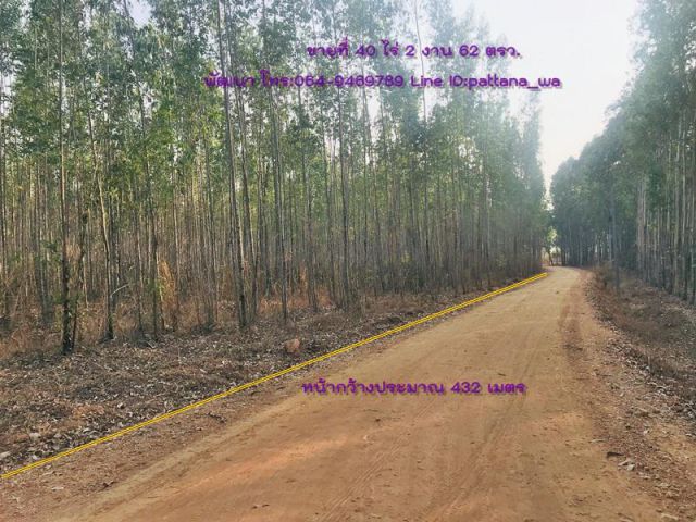 ขายที่ ในเขตตำบลลาดตะเคียน กบินทร์บุรี เนื้อที่ 40 ไร่ 2 งาน 62 ตรว.