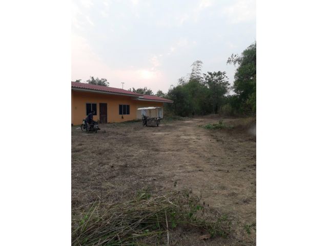 ขายที่ดินพร้อมบ้าน พนัสนิคม ใกล้วัด หนองสังฆ์​