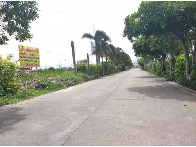 ขายที่ดินเปล่า ตรงข้ามเมกาบางนา ใกล้สนามบินสุวรรณภูมิ แบ่งขายได้ 115 ตรว. ถึง 3 ไร่
