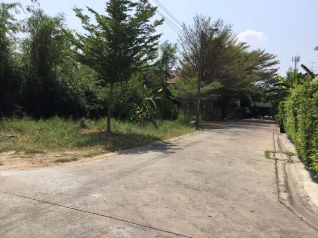 ขายที่สวยแปลงมุมถมแล้ว เนื้อที่ 181 ตรว. นาคนิวาส48แยก2