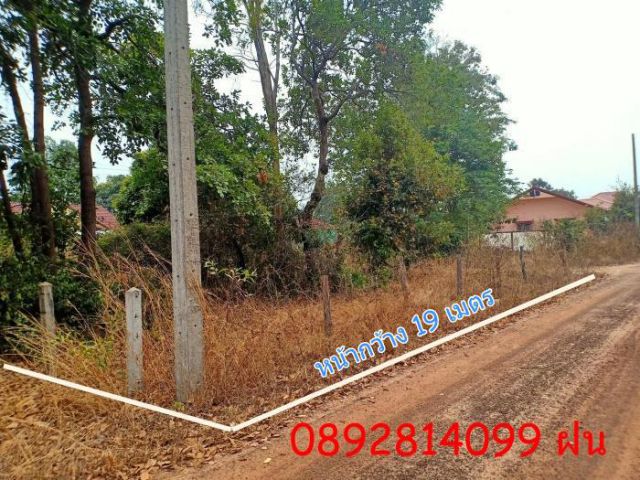 ที่ดินบ้านโนนหงษ์ทอง เหมาะปลูกบ้านที่อยู่อาศัย ติดถนน 2 ด้าน 73 ตรว.ราคาเพียง 550,000 เท่านั้น โฉนดพร้อมโอน
