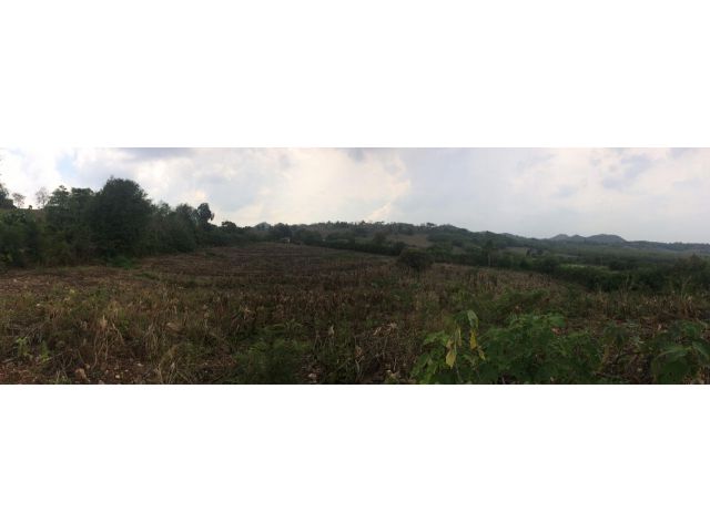 ขายที่ดิน 7-1-63 ไร่ บ้านสอยดาว ที่ดินเป็นเนินโล่งวิวสวยภูเขาสวย เหมาะทำบ้านพักส่วนตัวทำการเกษตร ห่างโรงเรียนสอยดาว 1.5