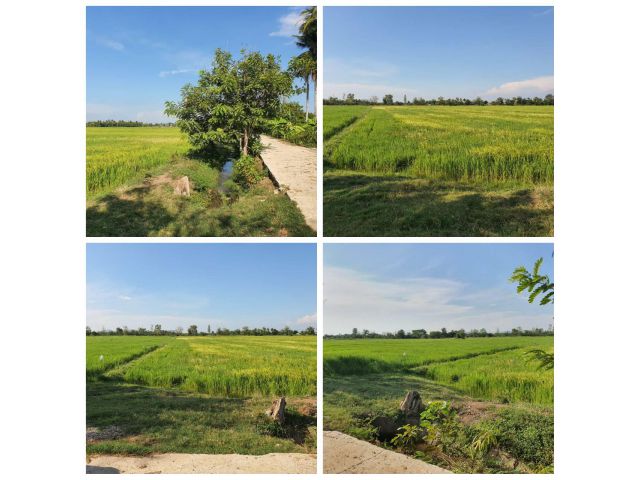 ที่ดินสวยวิวภูเขา ติดคลองซอย เนื้อที่ 5 ไร่ 2งาน 4ตรว. น้ำไฟพร้อม  ไร่ละ 350,000 บาท