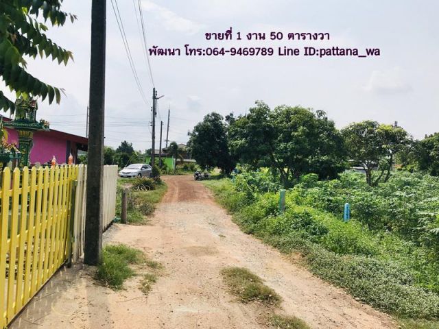 ขายที่แปลงเล็กๆ ราคาถูกๆ สำหรับปลูกบ้านพักอาศัยเขตตำบลหัวหว้า นิคมโรจนะปราจีนบุรี เนื้อที่ 1 งาน 50 ตรว.