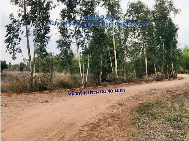 ขายที่แปลงเล็กๆ สวยๆ เขตอำเภอนาดี จ.ปราจีนบุรี เนื้อที่ 1-3-60 ไร่
