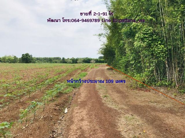 ขายที่ในเขตนิคมไฮเทค จ.ปราจีนบุรี เนื้อที่ 2-1-91 ไร่