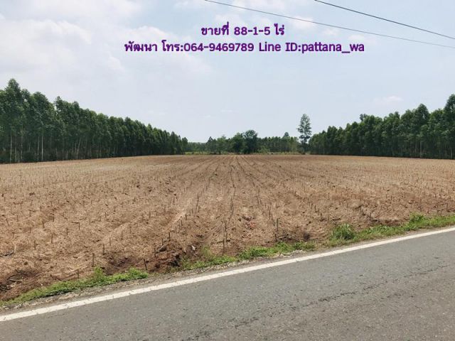 ️ขายที่ดินสวยๆ ราคาถูกๆ ติดถนนดำ เขตอำเภอกบินทร์บุรี จ.ปราจีนบุรี เนื้อที่ 88-0-5 ไร่