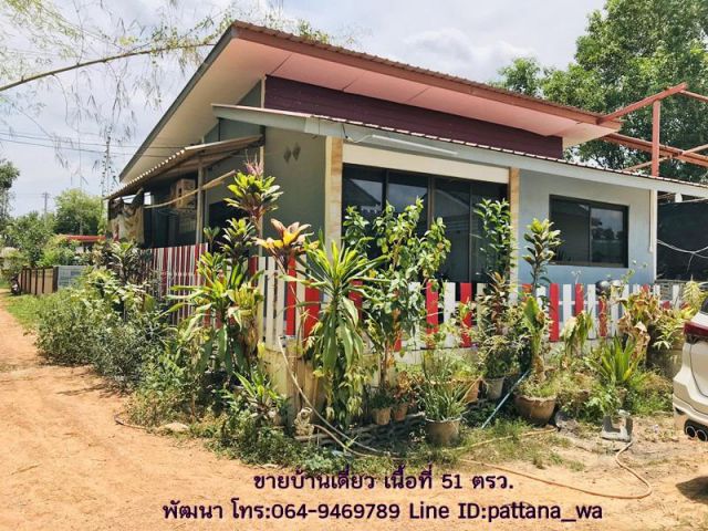 ️ขายบ้านเดี่ยวหลังเล็กๆ ใกล้ ม.พระจอมเกล้าพระนครเหนือปราจีนบุรี และเขาใหญ่ เนื้อที่ 51 ตรว.