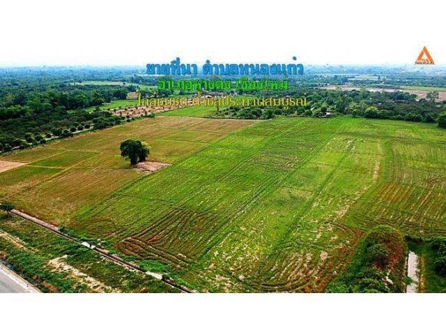 ขายที่นา ตำบลหนองแก๋ว อำเภอหางดง เชียงใหม่ ใกล้ชุมชน น้ำชลประทานสมบูรณ์