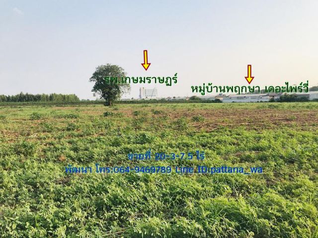 ขายที่ดินถูกหลังโครงการพฤกษา เดอะไพร์วี่ ท่าตูม นิคม304 เนื้อที่ 20-3-7.5 ไร่