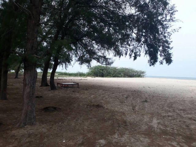 PS135 ขายที่ดิน 3-0-96 ไร่ ติดชายหาดชะอำ เพชรบุรี ใกล้คอนโดชะอำ