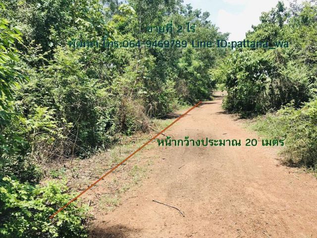 ขายที่ดินเขตนิคม 304 ใน ต.หนองโพรง เนื้อที่ 2 ไร่