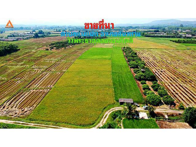 ขายที่นา ตำบลแม่แฝก อำเภอสันทราย จังหวัดเชียงใหม่ วิวพระธาตุดอยจอมกิตติ