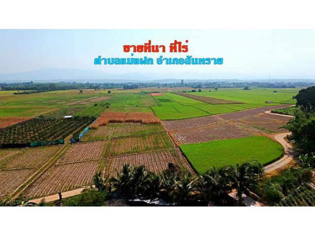 ขายที่นา ที่ไร่ ตำบลแม่แฝก อำเภอสันทราย จังหวัดเชียงใหม่