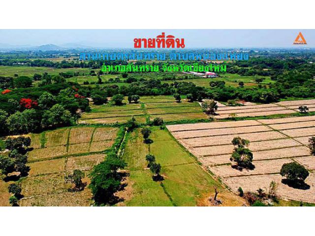 ขายที่ดิน สวนเกษตรสันทราย ตำบลหนองแหย่ง อำเภอสันทราย จังหวัดเชียงใหม่