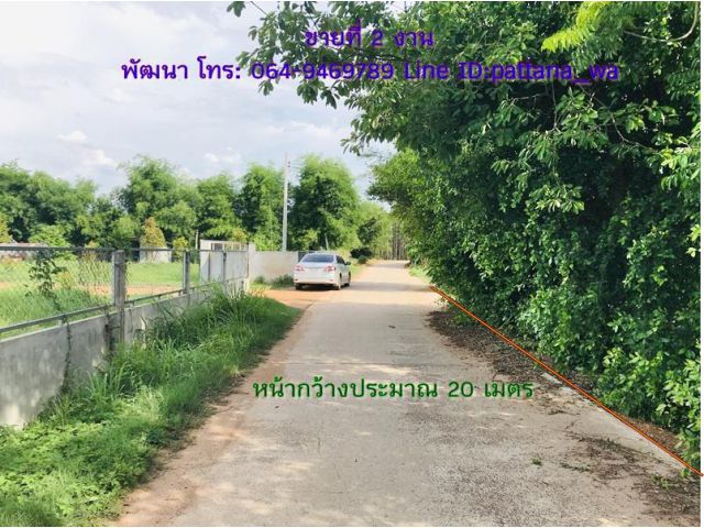 ขายที่แปลงเล็ก ที่สวยๆ ในหมู่บ้าน ต.หาดนางแก้ว ด้านหน้าติดถนนคอนกรีต เนื้อที่ 2 งาน