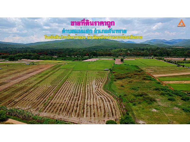 ขายที่ดินราคาถูก ตำบลแม่แฝก อำเภอสันทราย  รีบตัดสินใจเป็นเจ้าของ ช้าเพียงนิดท่านอาจต้องเสียดาย