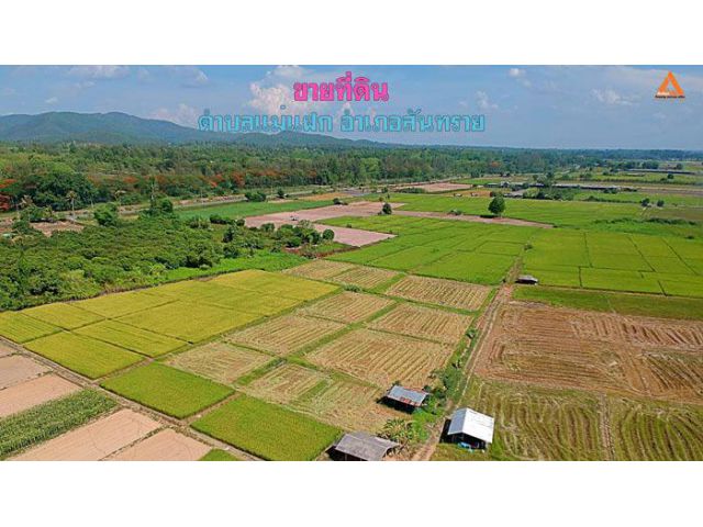 ขายที่ดิน ตำบลแม่แฝก อำเภอสันทราย จังหวัดเชียงใหม่