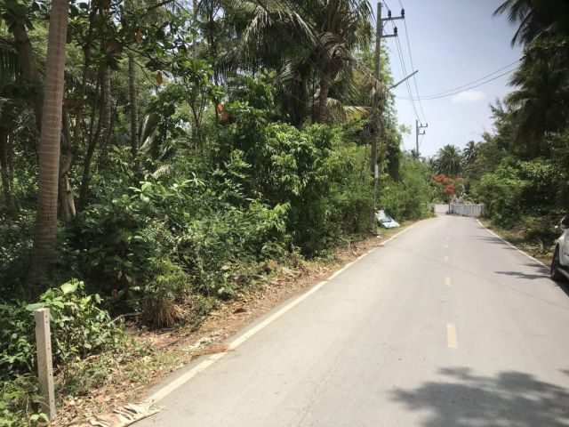 ขายที่ดินสวนมะพร้าวแม่กลอง สมุทรสงคราม เนื้อที่ 2ไร่ขาย 5 ล้านต่อไร่