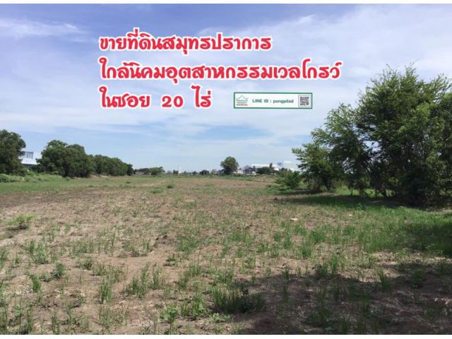 > ขายด่วนที่ดินสมุทรปราการ ใกล้นิคมอุตสาหกรรมเวลโกรว์ อยู่ในซอย 20 ไร่ @ 9 ล้าน แบ่งได้ 3 ไร่